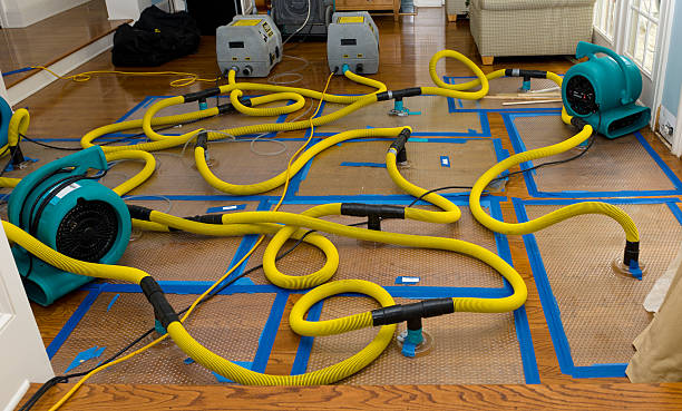 Professional Flood Damage Restoration technician working in Saint David, AZ